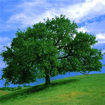 188BET官网中国官方网站