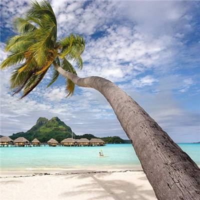 域网棋牌游戏下载手机版