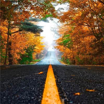 米博体育网站官网版官方入口