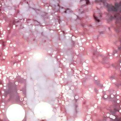 Bsport体育手机在线登录入口截图